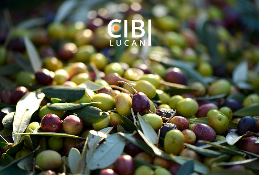 monovarietale-o-blend