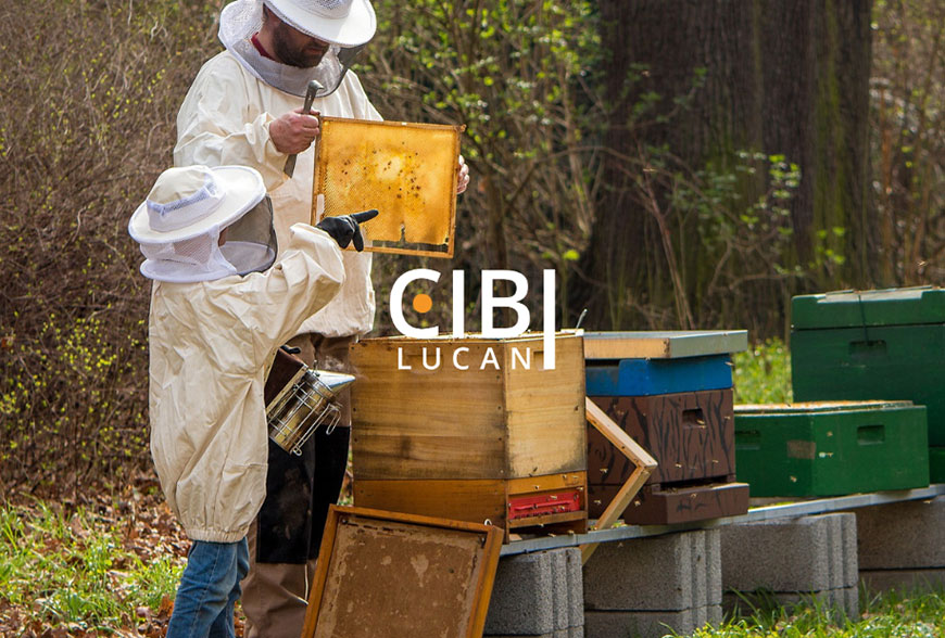 apicoltura-e-biodiversità