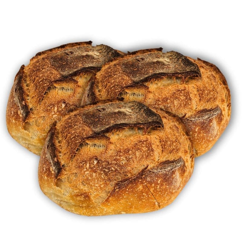 pane casereccio 3kg