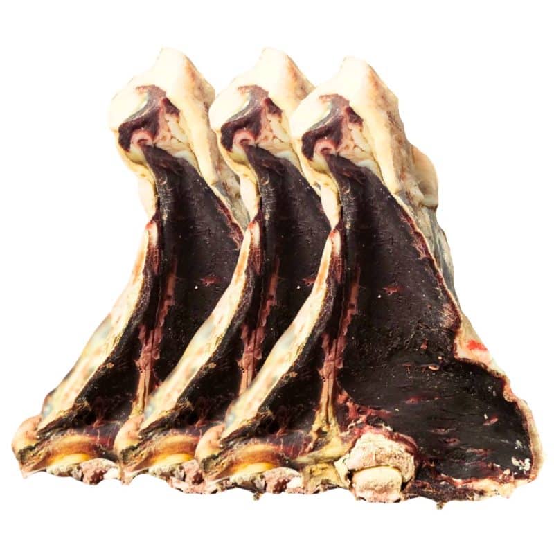 BISTECCA DI PODOLICA FROLLATA 100 Giorni(1)